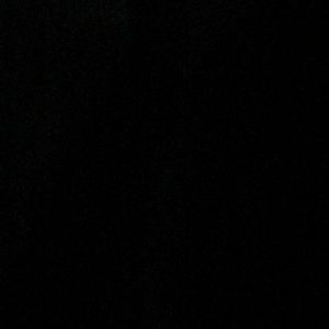 Meet your Posher, Bailey